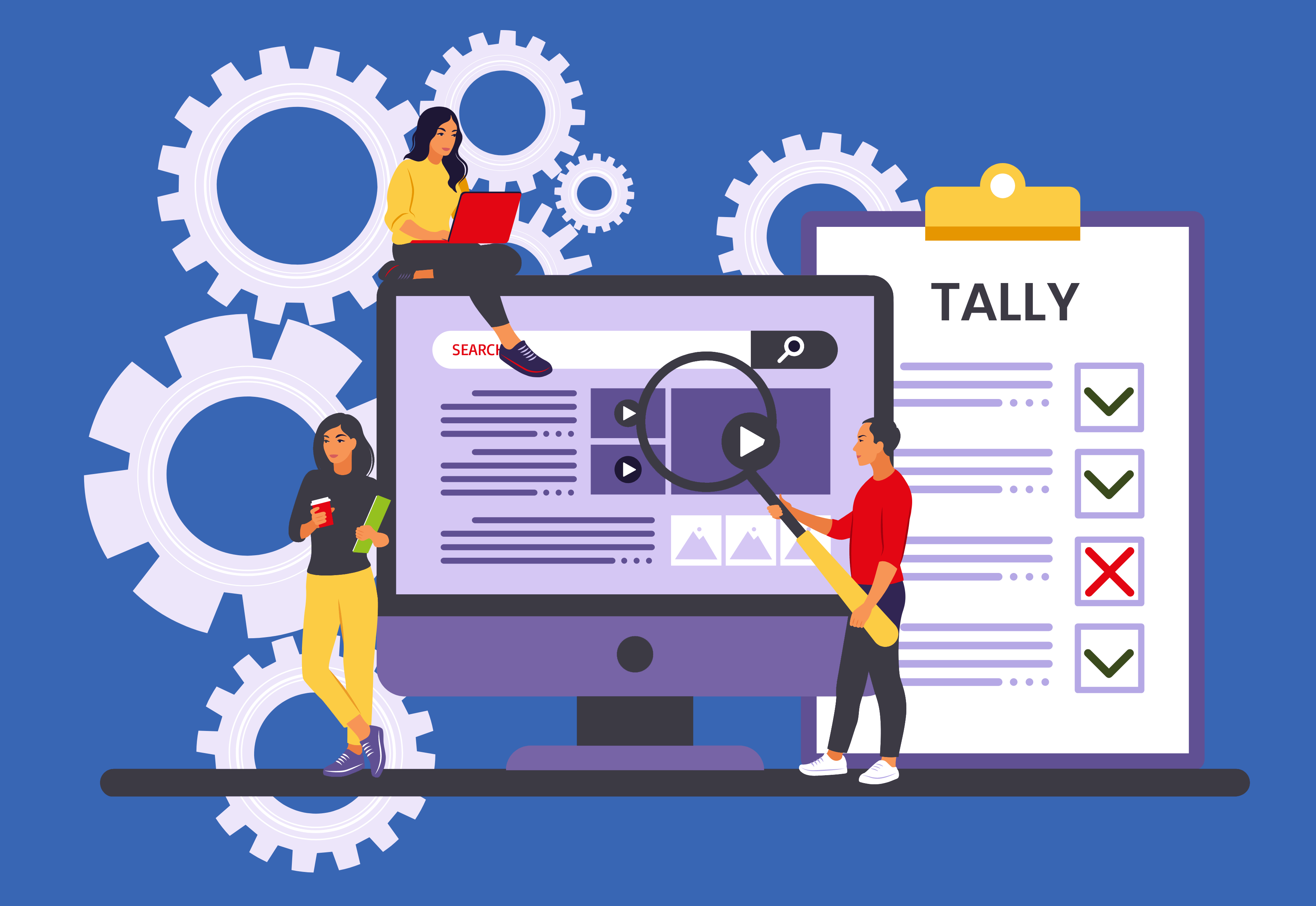 What Is Tally Software Services (TSS)?